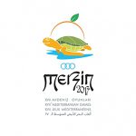 2013 Akdeniz Yaz Olimpiyatları